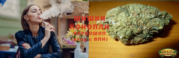молекула духа Баксан