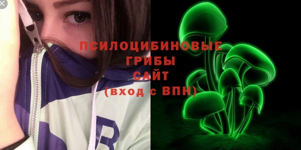 МДПВ Армянск