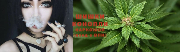 кокс Арсеньев