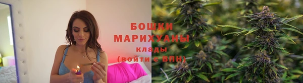 гидра Аркадак