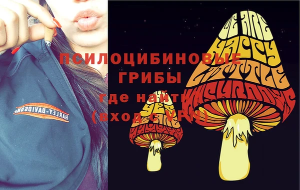 гидра Аркадак