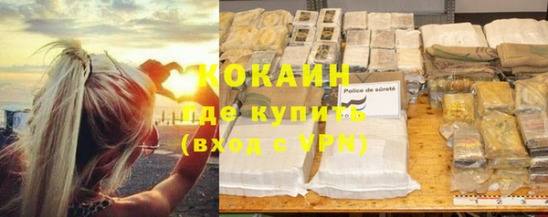 кокс Арсеньев