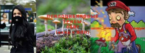 jwh Пересвет