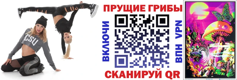 где найти наркотики  Козельск  Галлюциногенные грибы мицелий 